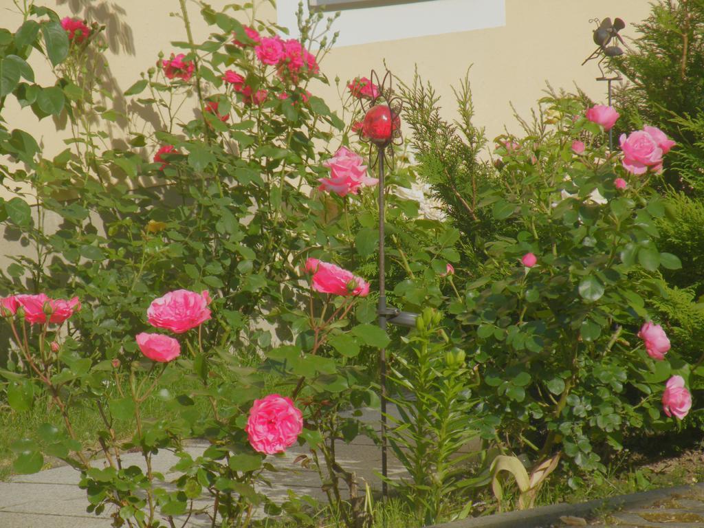 Am Lindenbaum Bed and Breakfast Sebnitz Εξωτερικό φωτογραφία